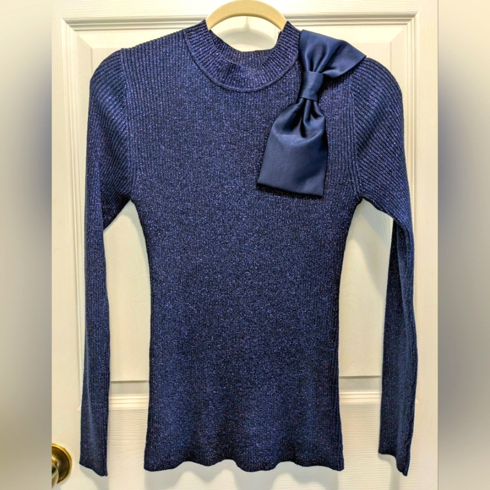Ann Taylor Factory Sweater